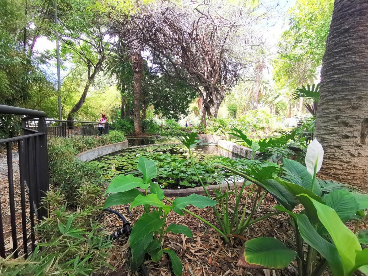 Home2Book El Encanto De La Plaza Del Principe Santa Cruz de Tenerife Ngoại thất bức ảnh